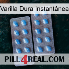 Varilla Dura Instantánea viagra4